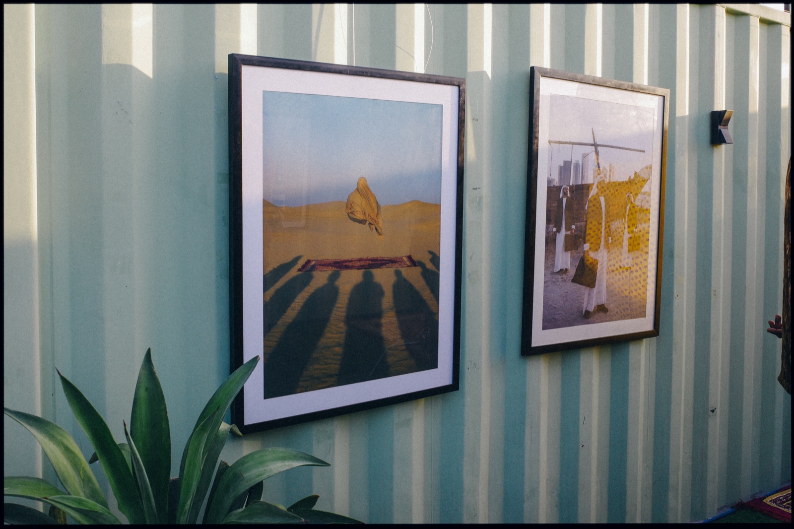 Two framed photographs on a corrugated container wall beside a plant.